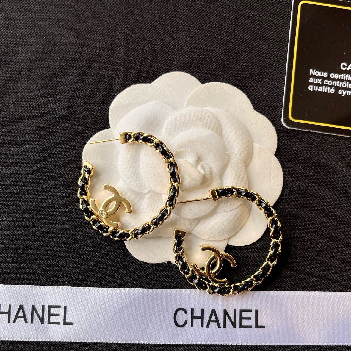 Earrings-A754